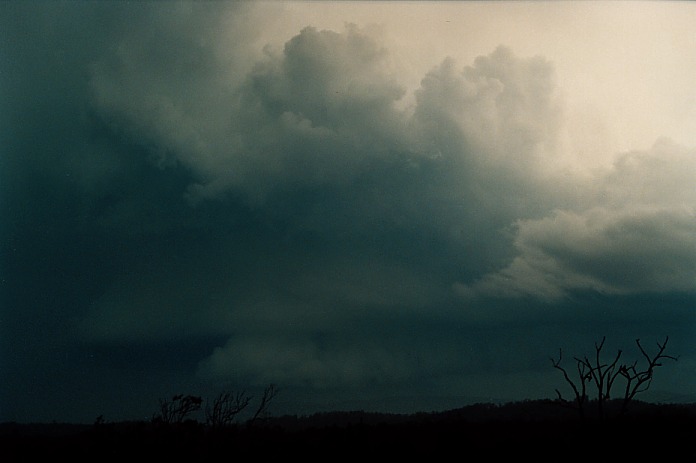 cumulonimbus supercell_thunderstorm : Corindi Beach, NSW   5 November 2000