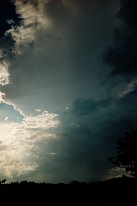 cumulonimbus thunderstorm_base : Macksville, NSW   5 November 2000