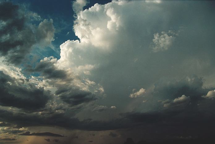 thunderstorm cumulonimbus_incus : N of Kempsey, NSW   5 November 2000