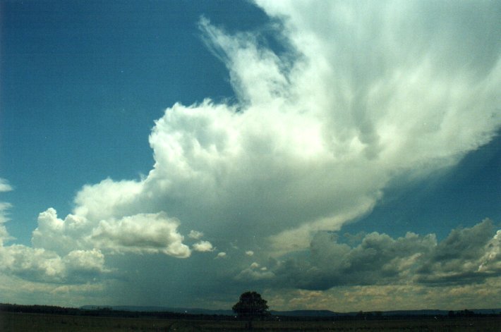 anvil thunderstorm_anvils : N of Casino, NSW   5 November 2000