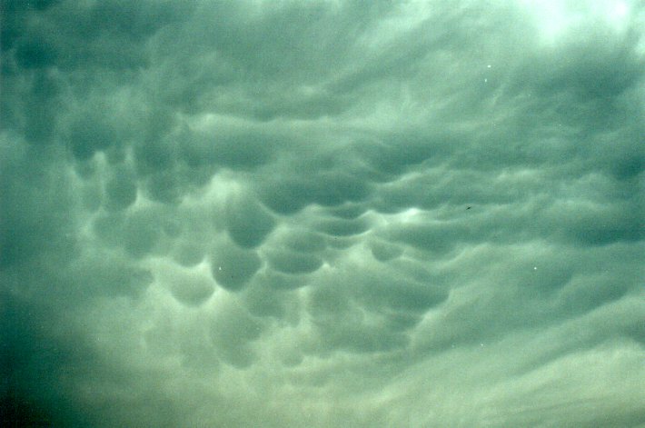 mammatus mammatus_cloud : N of Casino, NSW   5 November 2000