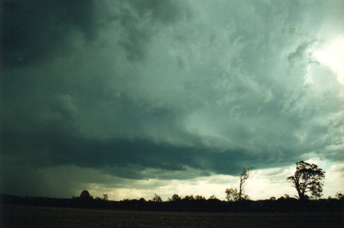 cumulonimbus thunderstorm_base : S of Kyogle, NSW   5 November 2000