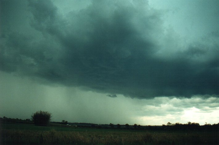 cumulonimbus thunderstorm_base : S of Kyogle, NSW   5 November 2000