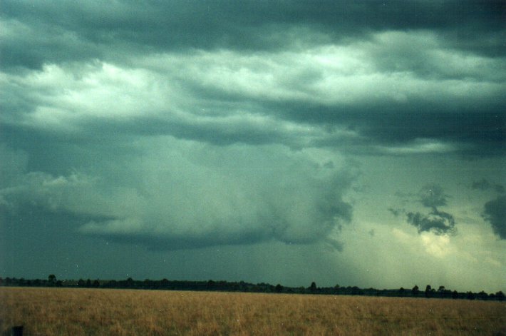 cumulonimbus thunderstorm_base : S of Kyogle, NSW   5 November 2000