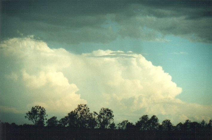 thunderstorm cumulonimbus_incus : N of Casino, NSW   5 November 2000