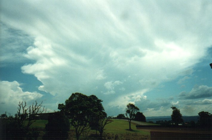 anvil thunderstorm_anvils : McLeans Ridges, NSW   5 November 2000