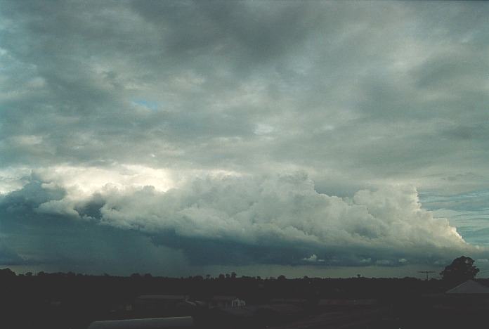 cumulus congestus : Schofields, NSW   17 November 2000