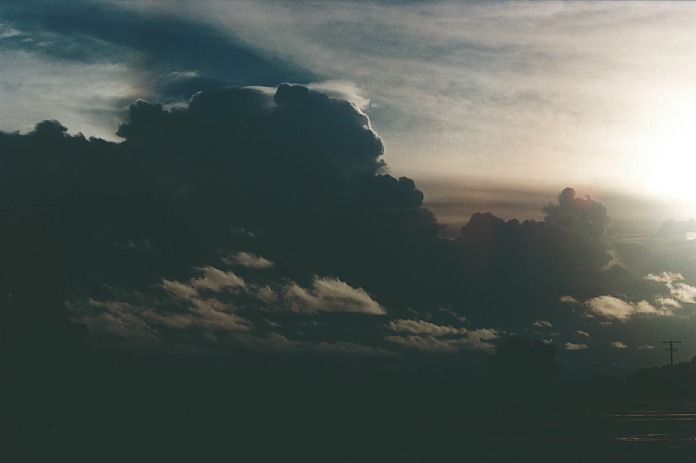 pileus pileus_cap_cloud : Byrock, NSW   18 November 2000