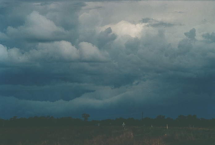 stratocumulus stratocumulus_cloud : Bourke, NSW   19 November 2000