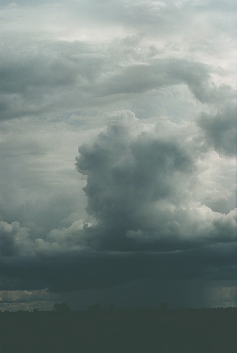 cumulonimbus thunderstorm_base : Bourke, NSW   19 November 2000