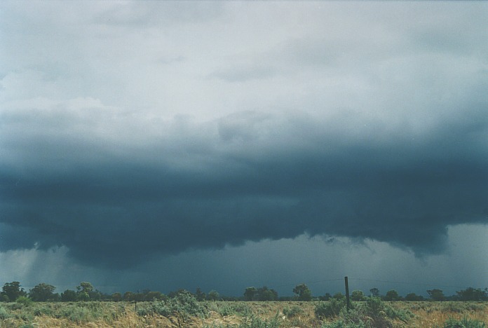 cumulonimbus thunderstorm_base : Bourke, NSW   19 November 2000