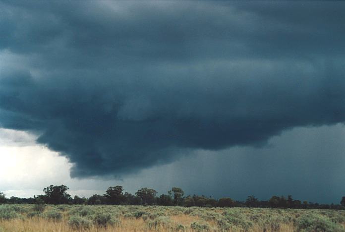 cumulonimbus thunderstorm_base : Bourke, NSW   19 November 2000