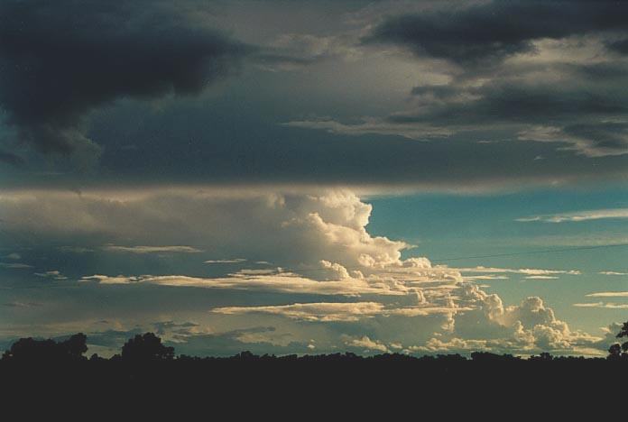 anvil thunderstorm_anvils : 100km N of Bourke, NSW   19 November 2000