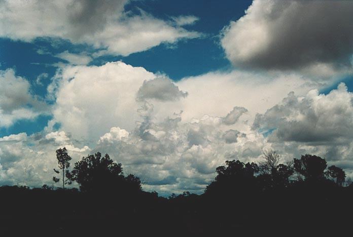 thunderstorm cumulonimbus_incus : 40km E of Charleville, Qld   20 November 2000