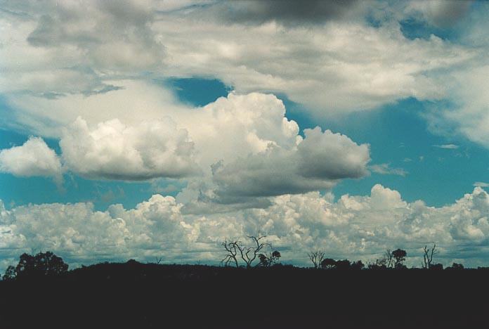 thunderstorm cumulonimbus_incus : 10km W of Morven, Qld   20 November 2000