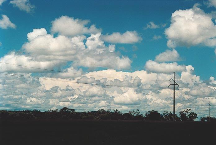 cumulus mediocris : 50km W of Mitchell, Qld   20 November 2000