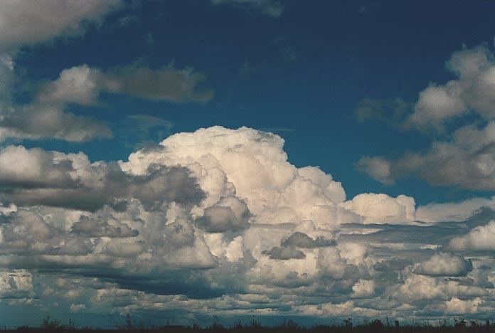 cumulus mediocris : W of Roma, Qld   20 November 2000