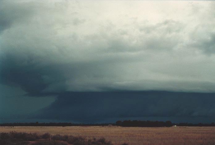 cumulonimbus supercell_thunderstorm : W of Chinchilla, Qld   20 November 2000