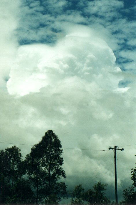pileus pileus_cap_cloud : near Lismore, NSW   20 November 2000