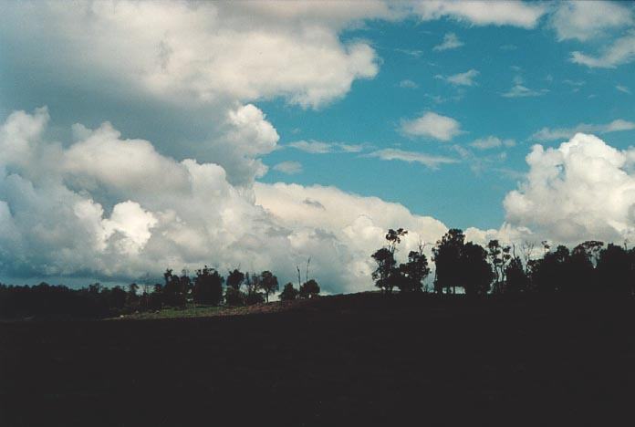 cumulus congestus : N of Miles, Qld   21 November 2000