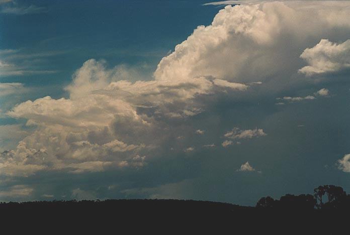 thunderstorm cumulonimbus_calvus :  N of Theodore, Qld   21 November 2000