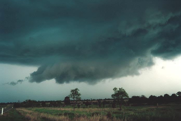 cumulonimbus thunderstorm_base : Banana, Qld   21 November 2000