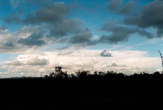 cumulus congestus : Anakie, Qld   22 November 2000