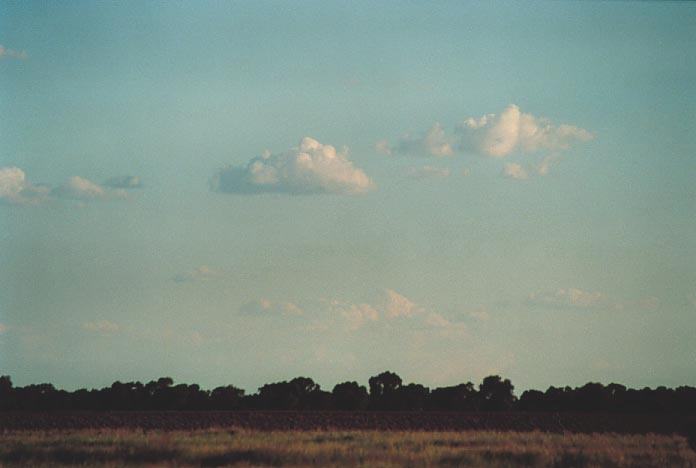 thunderstorm cumulonimbus_calvus : Cunumulla, Qld   26 November 2000