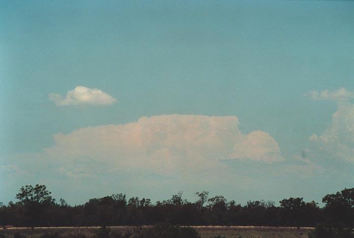 thunderstorm cumulonimbus_incus : Goondiwindi, Qld   27 November 2000