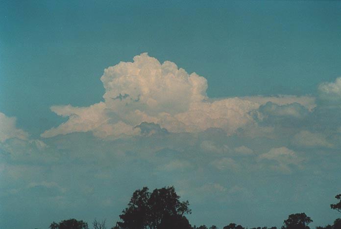 thunderstorm cumulonimbus_incus : Goondiwindi, Qld   27 November 2000