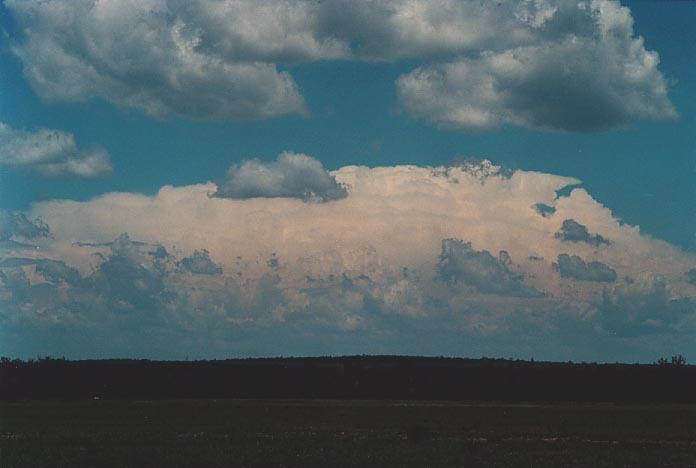 thunderstorm cumulonimbus_incus : E of Yelarbon, Qld   27 November 2000