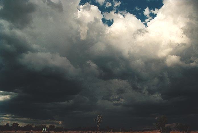 thunderstorm cumulonimbus_calvus : Coolmunda Dam, Inglewood, Qld   27 November 2000