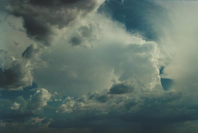 thunderstorm cumulonimbus_incus : W of Gunnedah, NSW   28 November 2000