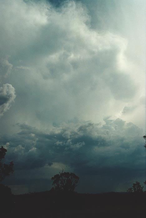 thunderstorm cumulonimbus_incus : W of Gunnedah, NSW   28 November 2000