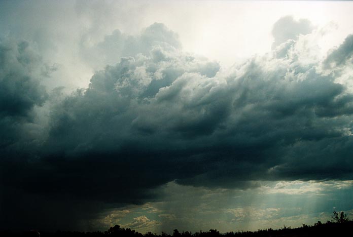 raincascade precipitation_cascade : Mullaley, NSW   28 November 2000