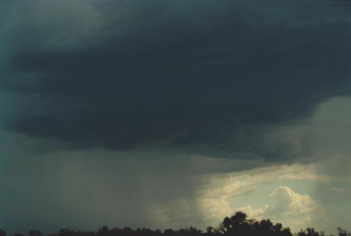 cumulonimbus thunderstorm_base : Mullaley, NSW   28 November 2000