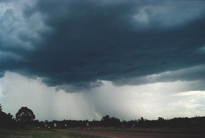 cumulonimbus thunderstorm_base : Mullaley, NSW   28 November 2000