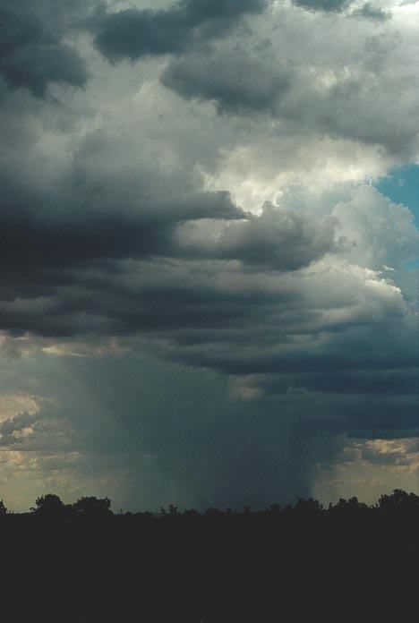 raincascade precipitation_cascade : Mullaley, NSW   28 November 2000