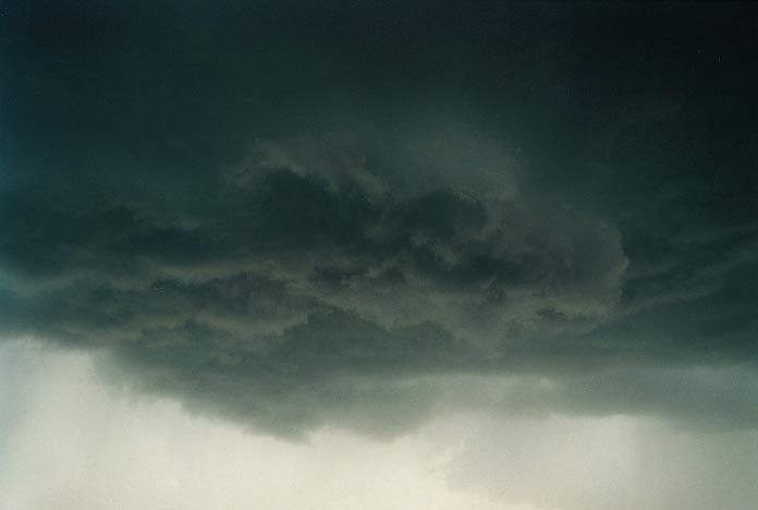 cumulonimbus thunderstorm_base : Mullaley, NSW   28 November 2000