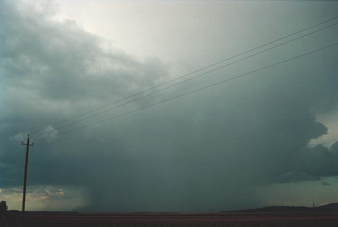 microburst micro_burst : Mullaley, NSW   28 November 2000