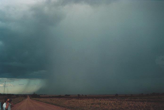 microburst micro_burst : Mullaley, NSW   28 November 2000