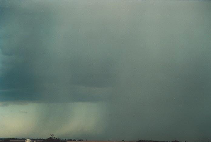 microburst micro_burst : Mullaley, NSW   28 November 2000