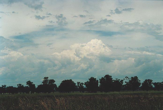 cirrus cirrus_cloud : near Quirindi, NSW   29 November 2000