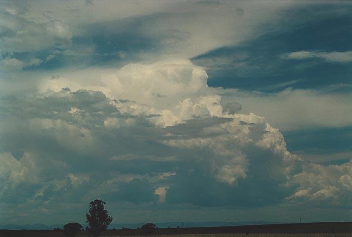 pileus pileus_cap_cloud : Breeza, NSW   29 November 2000