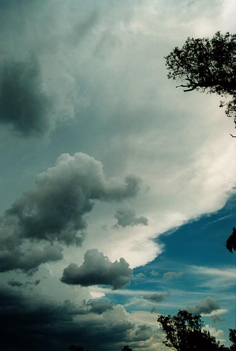 anvil thunderstorm_anvils : W of Quirindi, NSW   29 November 2000