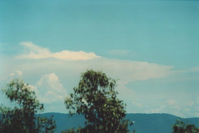 thunderstorm cumulonimbus_incus : Singleton Heights, NSW   30 November 2000