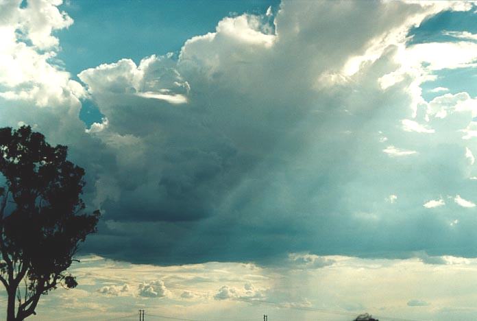 thunderstorm cumulonimbus_calvus : NW of Singleton, NSW   30 November 2000