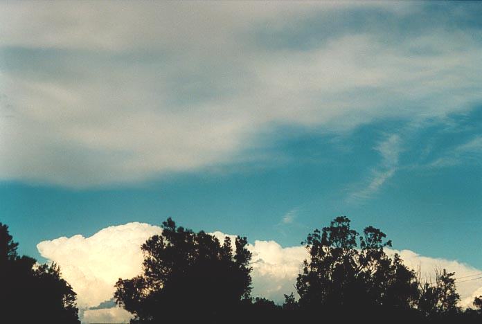 thunderstorm cumulonimbus_incus : NW of Singleton, NSW   30 November 2000