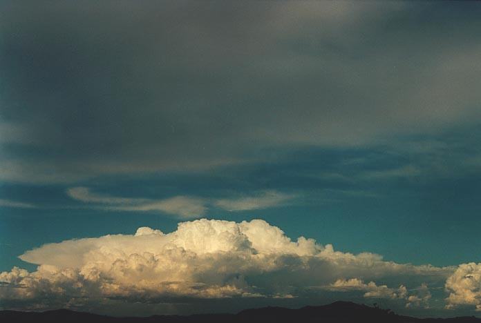 thunderstorm cumulonimbus_calvus : NW of Singleton, NSW   30 November 2000