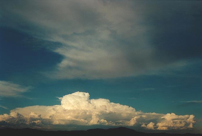 thunderstorm cumulonimbus_incus : NW of Singleton, NSW   30 November 2000